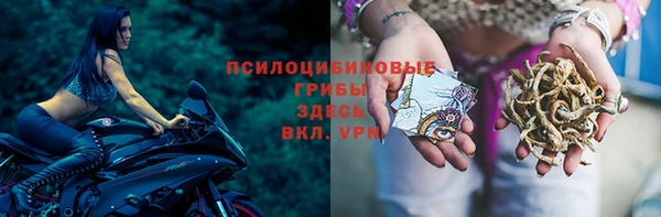 спиды Аркадак