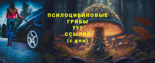 герыч Арсеньев