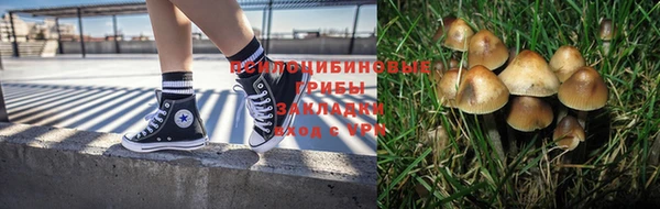 спиды Аркадак